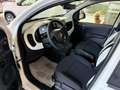Fiat Panda 1.0 Firefly Hybrid S&S 70cv Pandina - Km Zero Bianco - thumbnail 12
