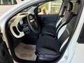 Fiat Panda 1.0 Firefly Hybrid S&S 70cv Pandina - Km Zero Bianco - thumbnail 13