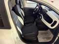 Fiat Panda 1.0 Firefly Hybrid S&S 70cv Pandina - Km Zero Bianco - thumbnail 15