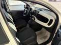 Fiat Panda 1.0 Firefly Hybrid S&S 70cv Pandina - Km Zero Bianco - thumbnail 14