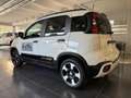 Fiat Panda 1.0 Firefly Hybrid S&S 70cv Pandina - Km Zero Bianco - thumbnail 8