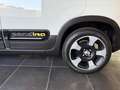 Fiat Panda 1.0 Firefly Hybrid S&S 70cv Pandina - Km Zero Bianco - thumbnail 7