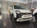 Fiat Panda 1.0 Firefly Hybrid S&S 70cv Pandina - Km Zero Bianco - thumbnail 3