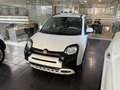 Fiat Panda 1.0 Firefly Hybrid S&S 70cv Pandina - Km Zero Bianco - thumbnail 4