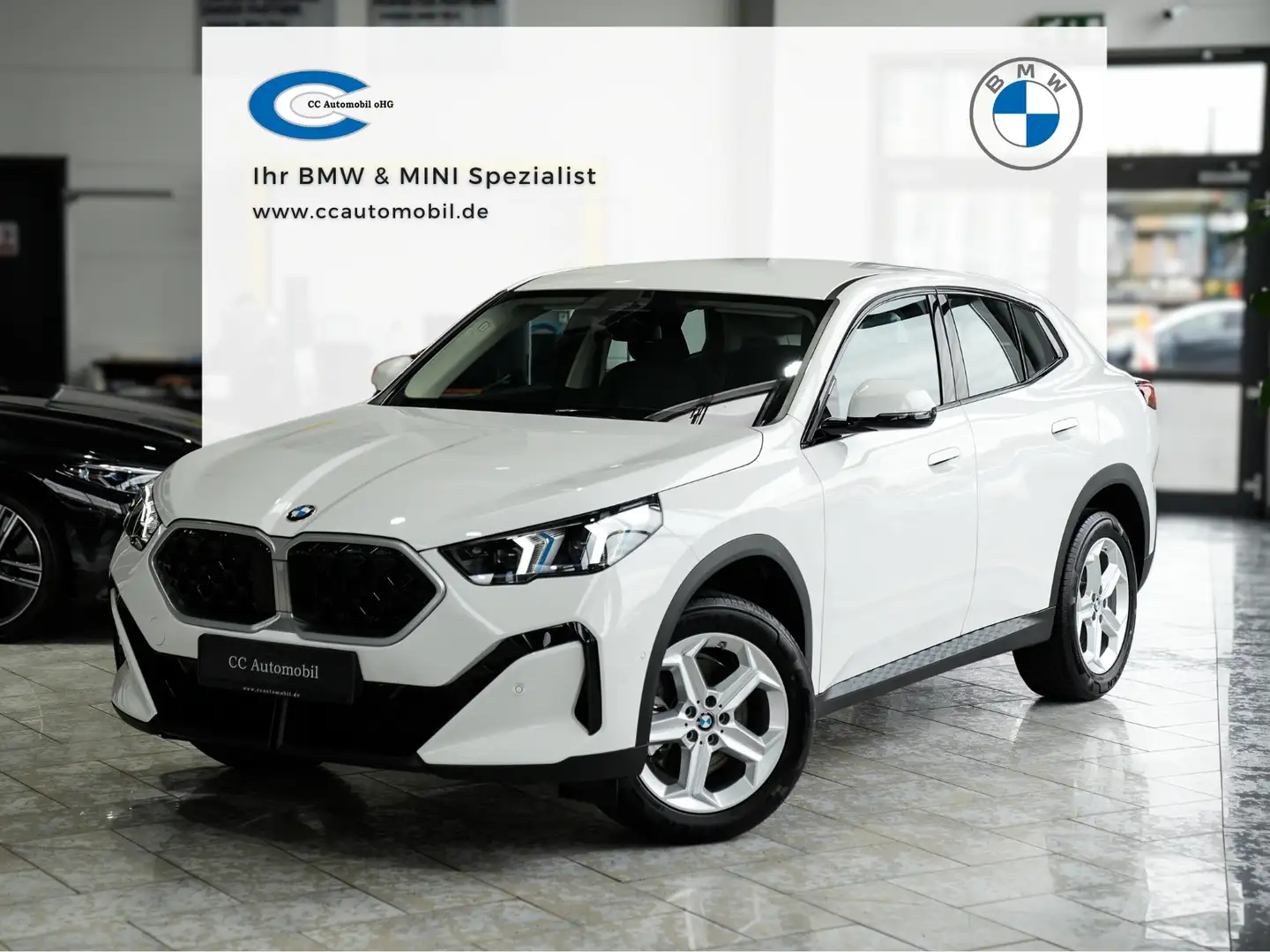 BMW X2 sDrive 20i Komfortzugang Kamera Weiß - 1