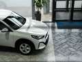 BMW X2 sDrive 20i Komfortzugang Kamera Weiß - thumbnail 29