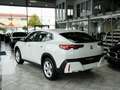 BMW X2 sDrive 20i Komfortzugang Kamera Weiß - thumbnail 9