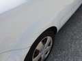 Kia ProCeed / pro_cee'd ProCeed Weiß - thumbnail 5