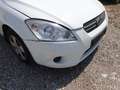 Kia ProCeed / pro_cee'd ProCeed Weiß - thumbnail 6