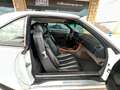 Mercedes-Benz SL 600 Blanco - thumbnail 13