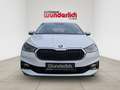 Skoda Fabia Drive DSG inkl. Winter Plus Chrom Kamera Weiß - thumbnail 16