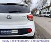Hyundai i10 Trend Lim./Lenk-& SHZ/TEMPOMAT/TÜV 11.2027 Weiß - thumbnail 6