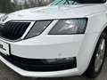 Skoda Octavia Kombi 1,6 TDI Weiß - thumbnail 21