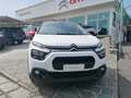 Citroen C3 C3 PureTech 83 S&S Shine Bianco - thumbnail 3