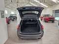 Ford Focus CLIPPER ST-LINE HYBRID BENZINE FULL OPTION - thumbnail 4