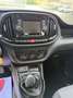 Fiat Doblo 1.3 mjt Easy 95cv my19 Per Neopatentati Blanc - thumbnail 9