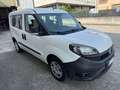 Fiat Doblo 1.3 mjt Easy 95cv my19 Per Neopatentati Blanc - thumbnail 3