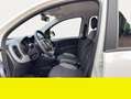 Fiat Panda - thumbnail 9