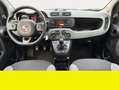 Fiat Panda - thumbnail 13