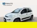 Fiat Panda - thumbnail 2