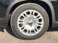 Fiat Panda MY24 1.0 Klima PDC Citypaket Schwarz - thumbnail 5