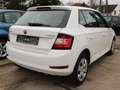Skoda Fabia Active**Klima*Alwetter* Blanco - thumbnail 6