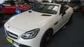 Mercedes-Benz SLC 300 SLC 300 AMG Blanc - thumbnail 19