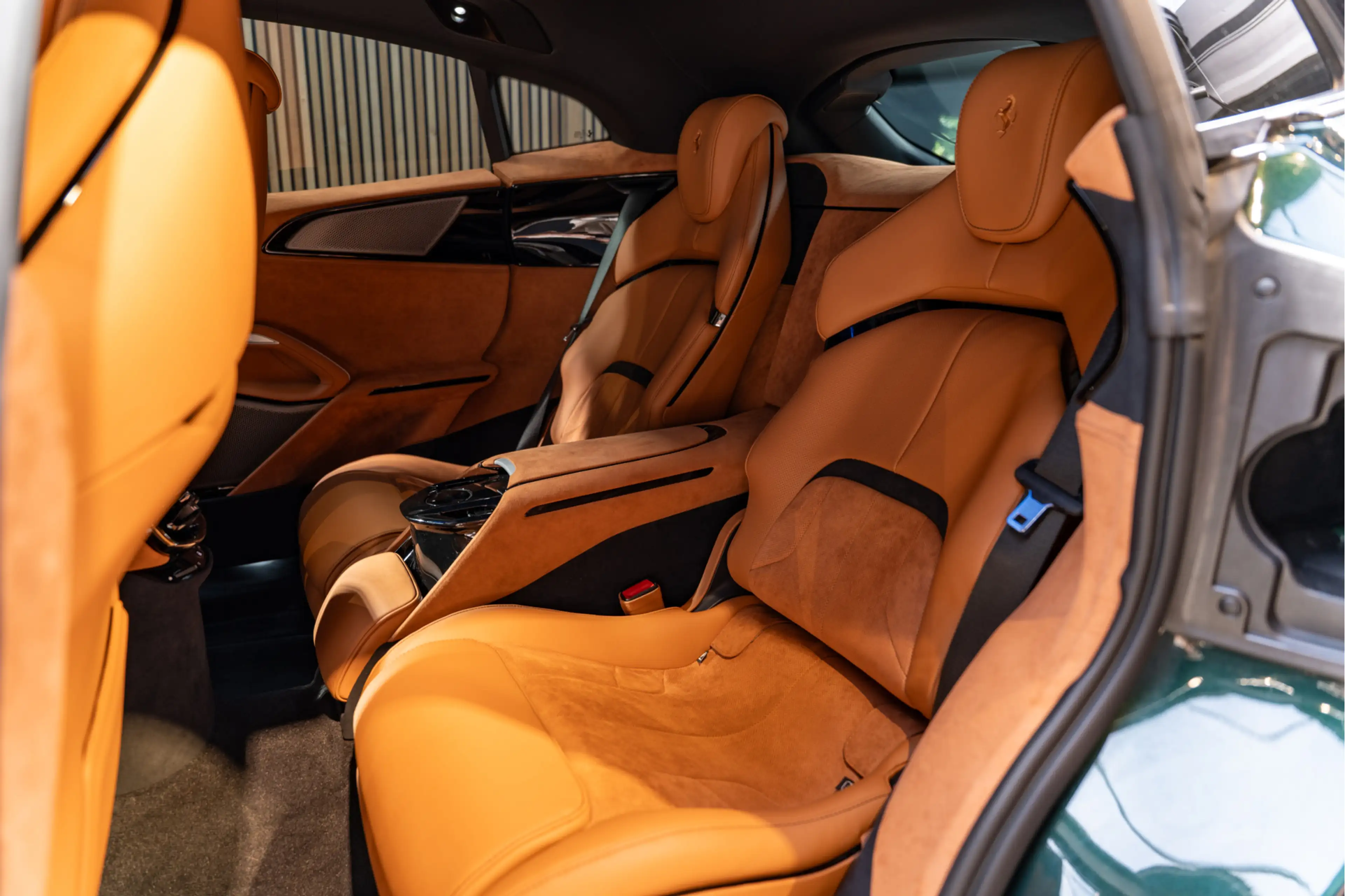 Ferrari Purosangue Full Carbon Airbrushed Shields Alcantara 6.5 V12 V — photo 9