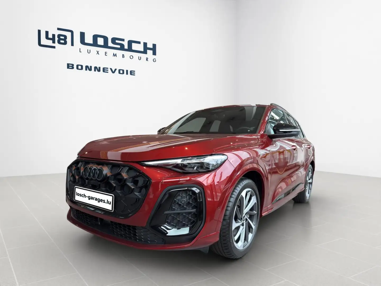 Audi Q5 SUV quattro Rot - 1