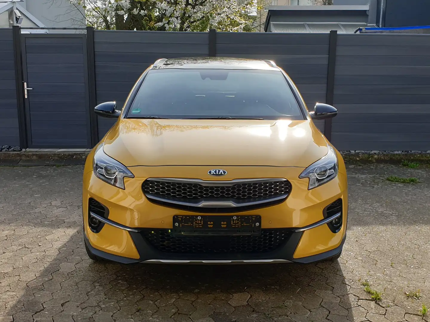 Kia XCeed XCeed 1.6 T-GDI OPF DCT7 LAUNCH EDITION Gold - 2