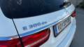 Mercedes-Benz E 300 E 300 de PHEV T 4Matic Aut. Weiß - thumbnail 14