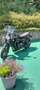 Triumph Street Twin Noir - thumbnail 12