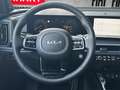 Kia Sorento Platinum 4WD 2.2 CRDi/AHK/Panorama/ACC/360°Kamera/ Gri - thumbnail 11