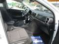 Kia Sportage 1.6 CRDI 115CV MILD HYBRID ENERGY MHEV TAGLIANDATA Bianco - thumbnail 11