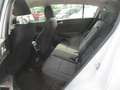Kia Sportage 1.6 CRDI 115CV MILD HYBRID ENERGY MHEV TAGLIANDATA Bianco - thumbnail 9