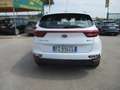 Kia Sportage 1.6 CRDI 115CV MILD HYBRID ENERGY MHEV TAGLIANDATA Bianco - thumbnail 5