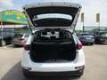 Kia Sportage 1.6 CRDI 115CV MILD HYBRID ENERGY MHEV TAGLIANDATA Bianco - thumbnail 8