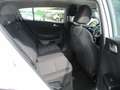 Kia Sportage 1.6 CRDI 115CV MILD HYBRID ENERGY MHEV TAGLIANDATA Bianco - thumbnail 10