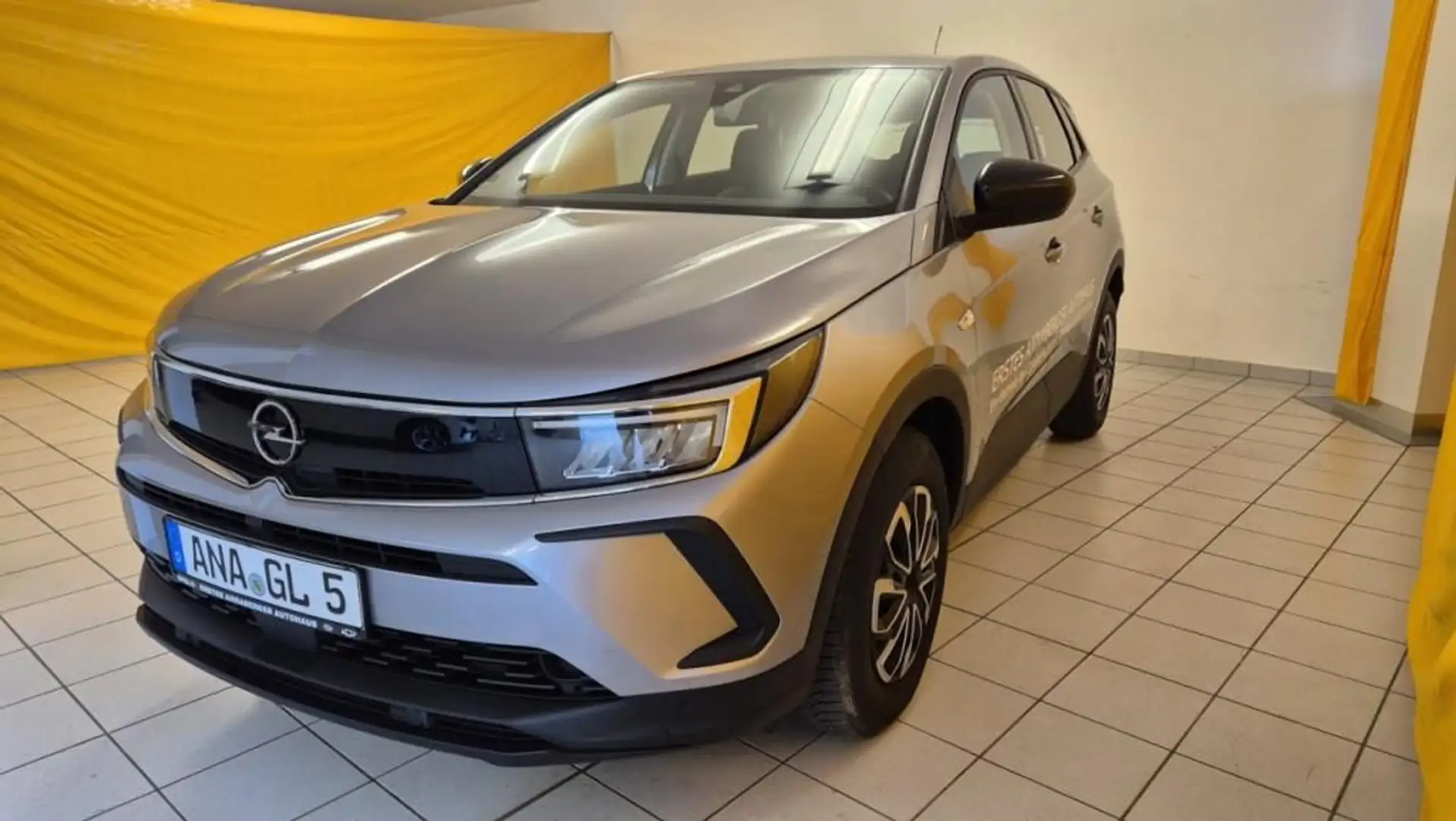 Opel Grandland X GRANDLAND X, Sitz-Lenkradheizung beh. Frontschei Grau - 1
