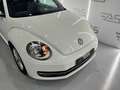 Volkswagen Beetle 1.6 TDI 105cv manía Blanco - thumbnail 20