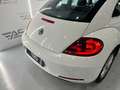 Volkswagen Beetle 1.6 TDI 105cv manía Blanco - thumbnail 12