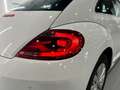 Volkswagen Beetle 1.6 TDI 105cv manía Blanco - thumbnail 9