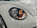 Volkswagen Beetle 1.6 TDI 105cv manía Blanco - thumbnail 17