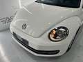 Volkswagen Beetle 1.6 TDI 105cv manía Blanco - thumbnail 25
