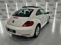 Volkswagen Beetle 1.6 TDI 105cv manía Blanco - thumbnail 3