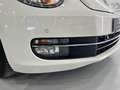 Volkswagen Beetle 1.6 TDI 105cv manía Blanco - thumbnail 18