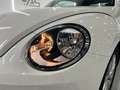 Volkswagen Beetle 1.6 TDI 105cv manía Blanco - thumbnail 22
