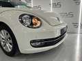 Volkswagen Beetle 1.6 TDI 105cv manía Blanco - thumbnail 16