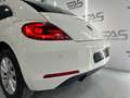 Volkswagen Beetle 1.6 TDI 105cv manía Blanco - thumbnail 28
