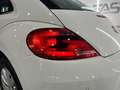 Volkswagen Beetle 1.6 TDI 105cv manía Blanco - thumbnail 30